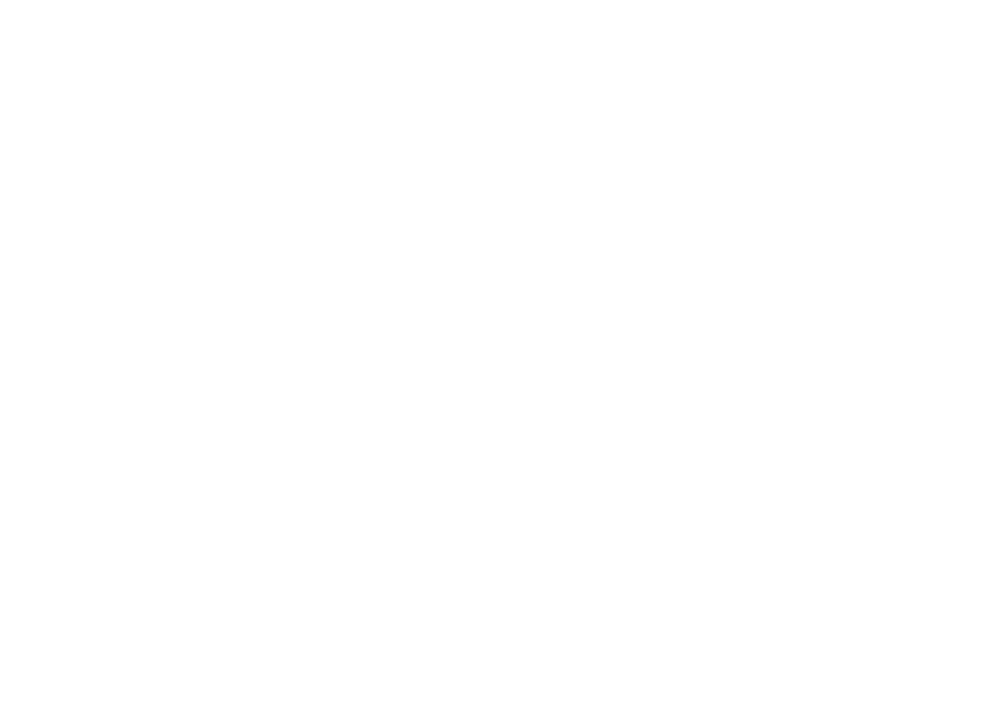 Anjas Hair Traum